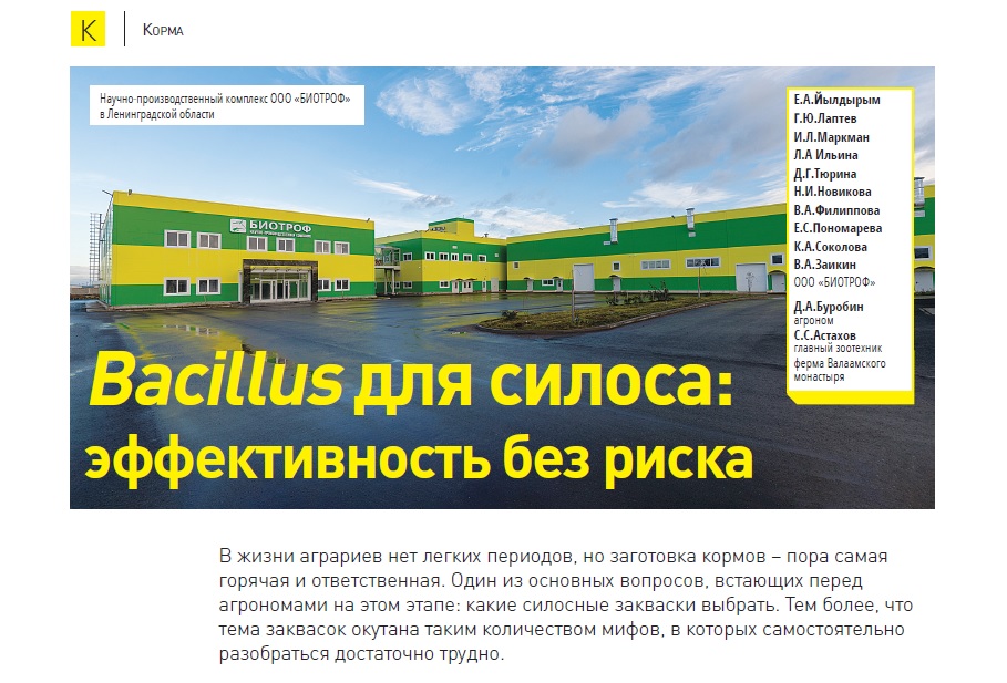 Bacillus для силоса: эффективность без риска