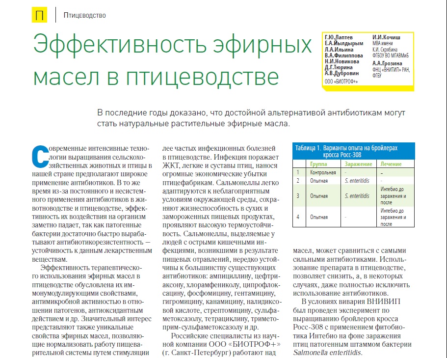 Эффективность эфирных масел в птицеводстве