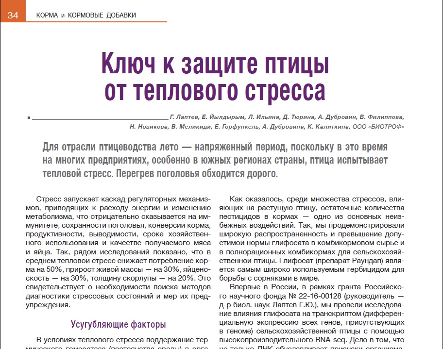 Ключ к защите птицы от теплового стресса