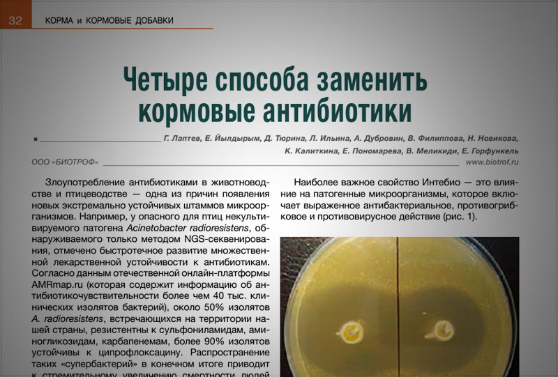 Четыре способа заменить кормовые антибиотики