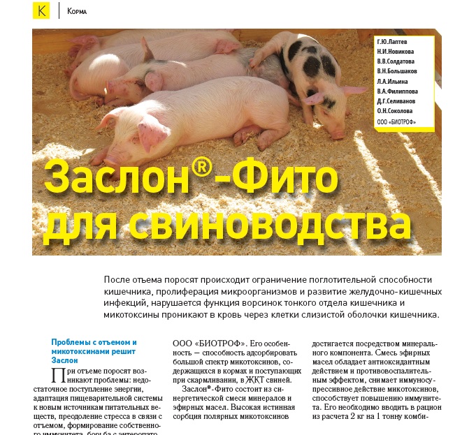 Заслон Фито для свиноводства