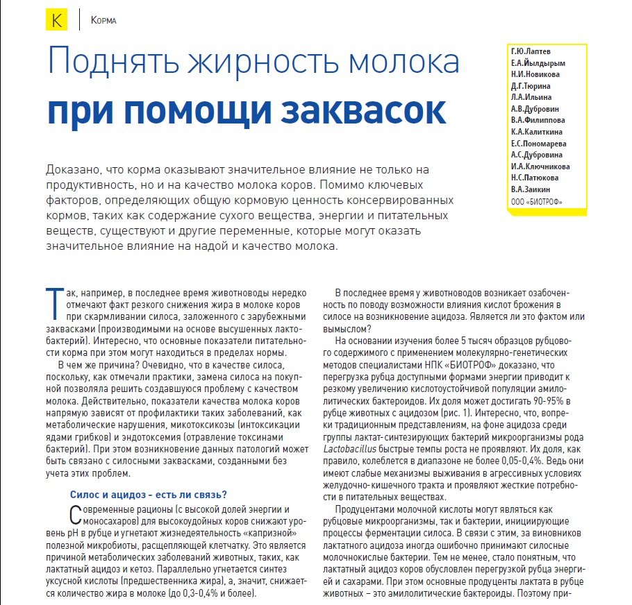 Поднять жирность молока при помощи заквасок