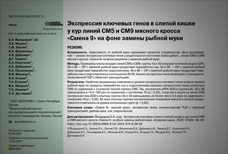 Экспрессия ключевых генов в слепой кишке у кур линий СМ5 и СМ9 мясного кросса «Смена 9» на фоне замены рыбной муки