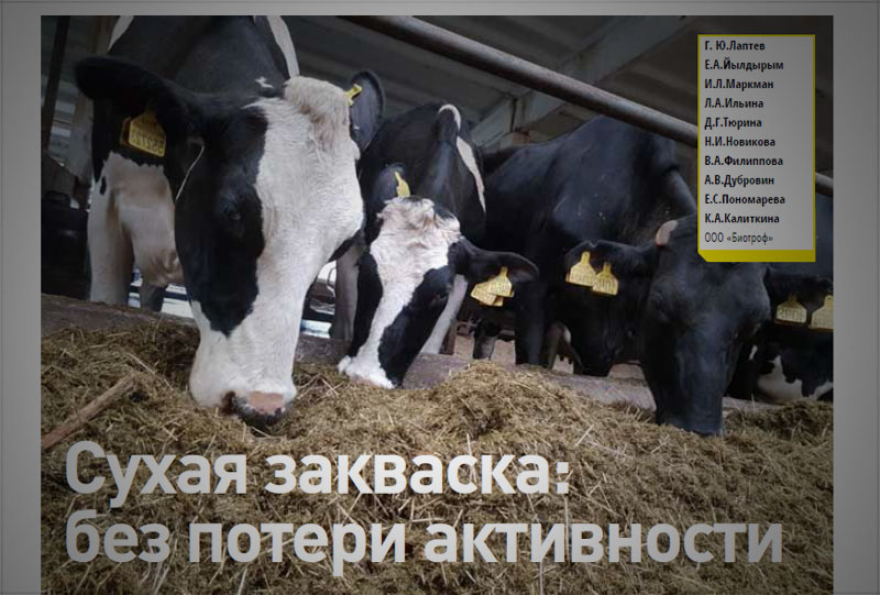 Сухая закваска: без потери активности