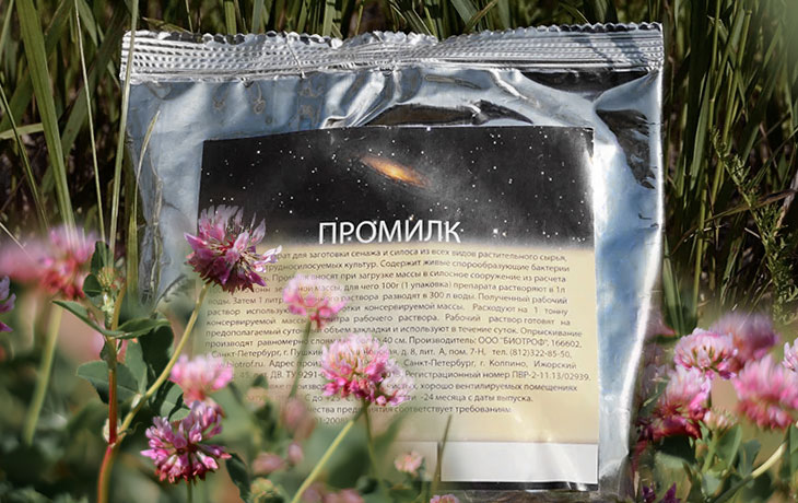Промилк