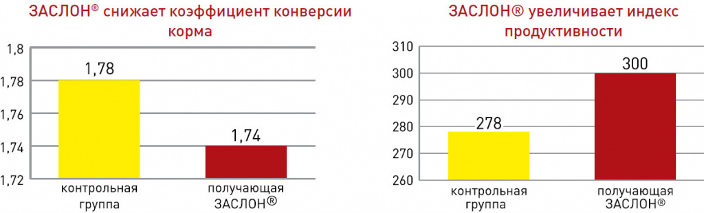 zaslon_bew_tbl.jpg